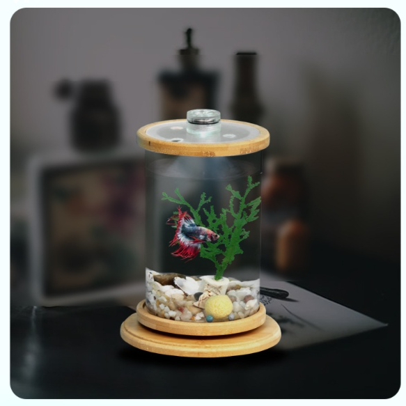 Drehbares Mini-Aquarium