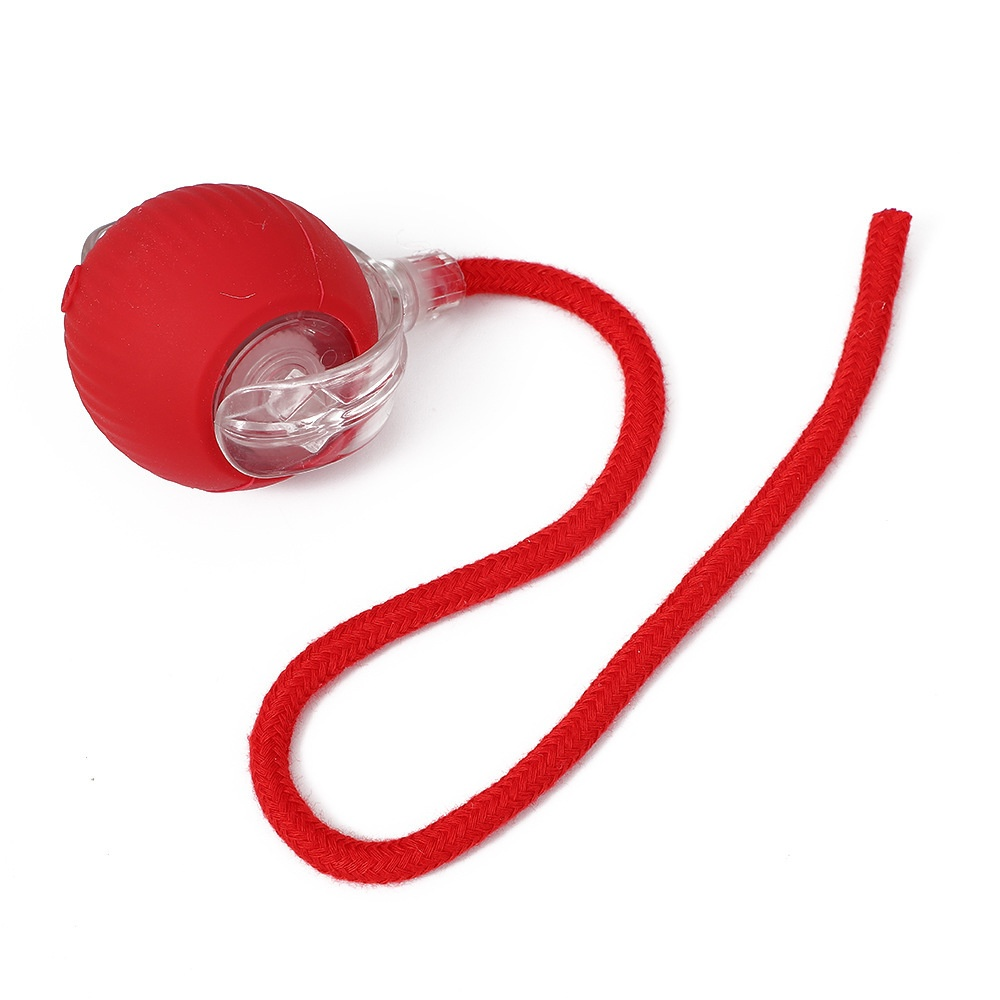 ลูกบอลของเล่นสำหรับแมวและสุนัข