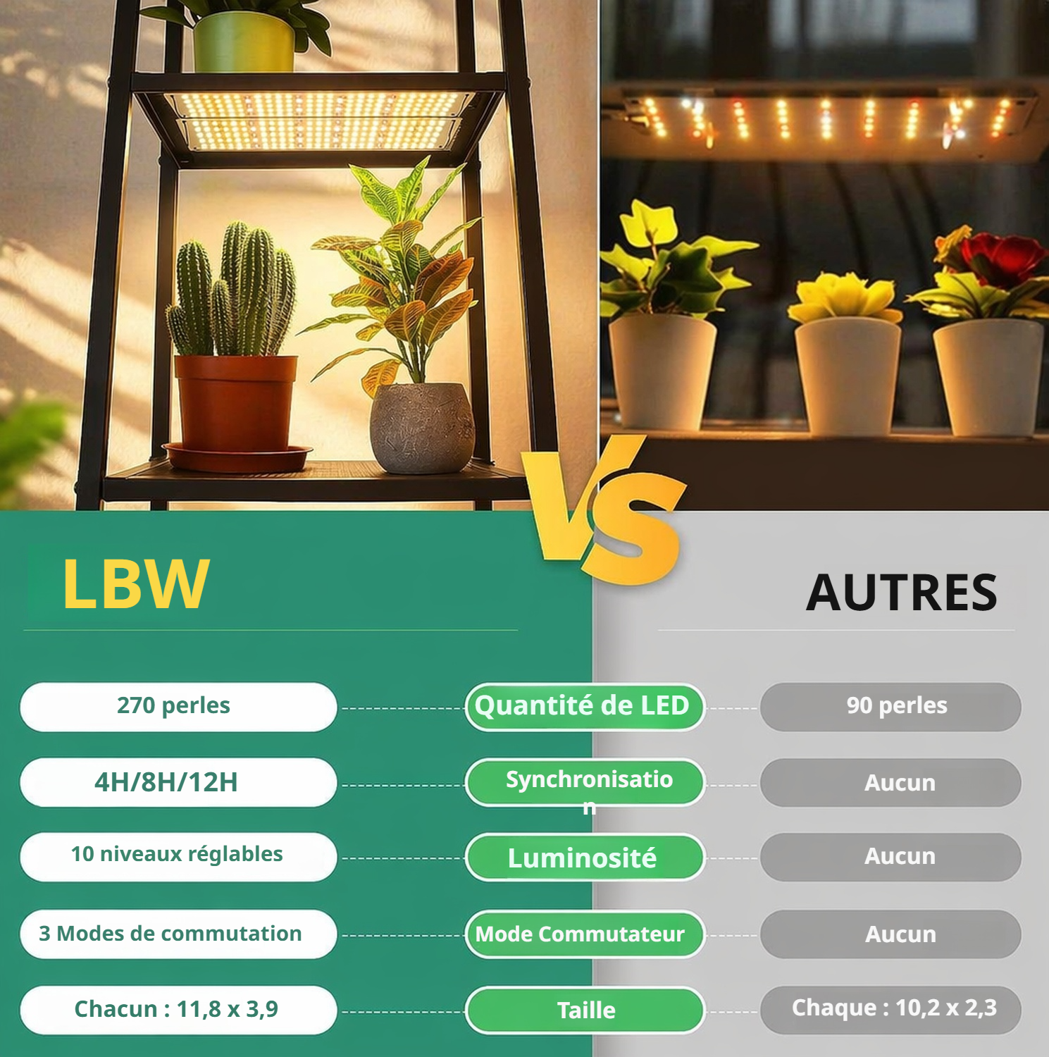 Plantes florissantes sous panneau LED de croissance