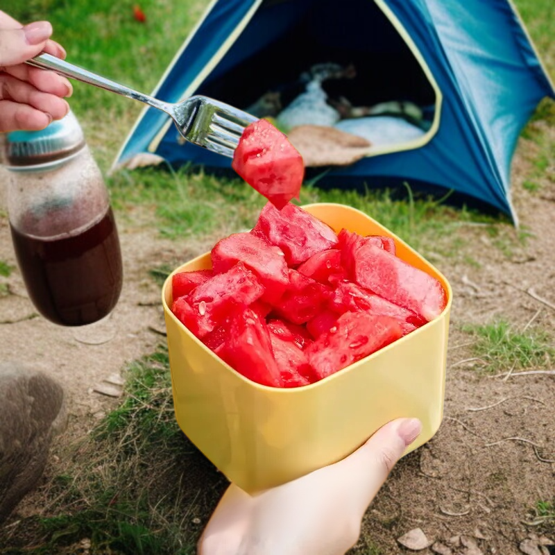 피크닉 과일 분리수납함 야외 보관함 치즈 파 생강마늘 전자레인지 수납함