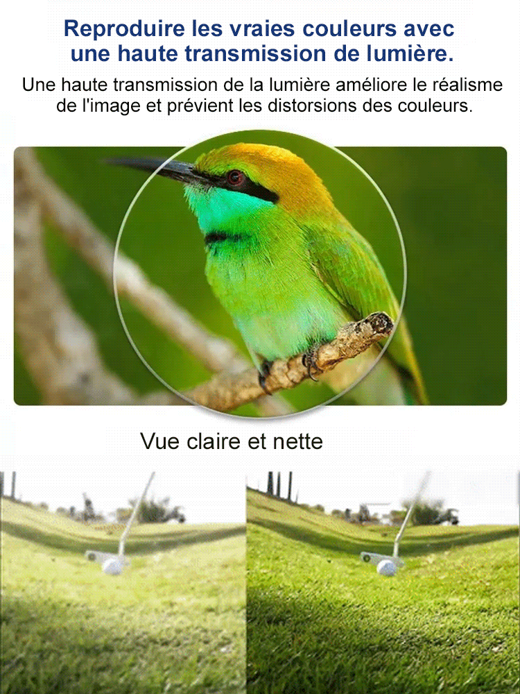 【Créé par des designers】Révolution Optique : Les Lunettes Intelligentes qui S'adaptent à Votre Vue en Temps Réel