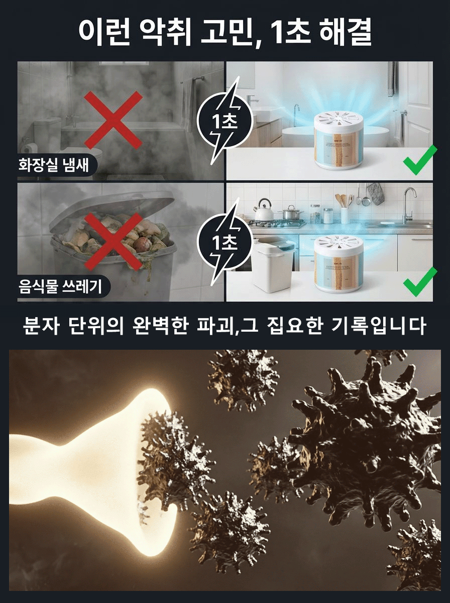 공기 정화제