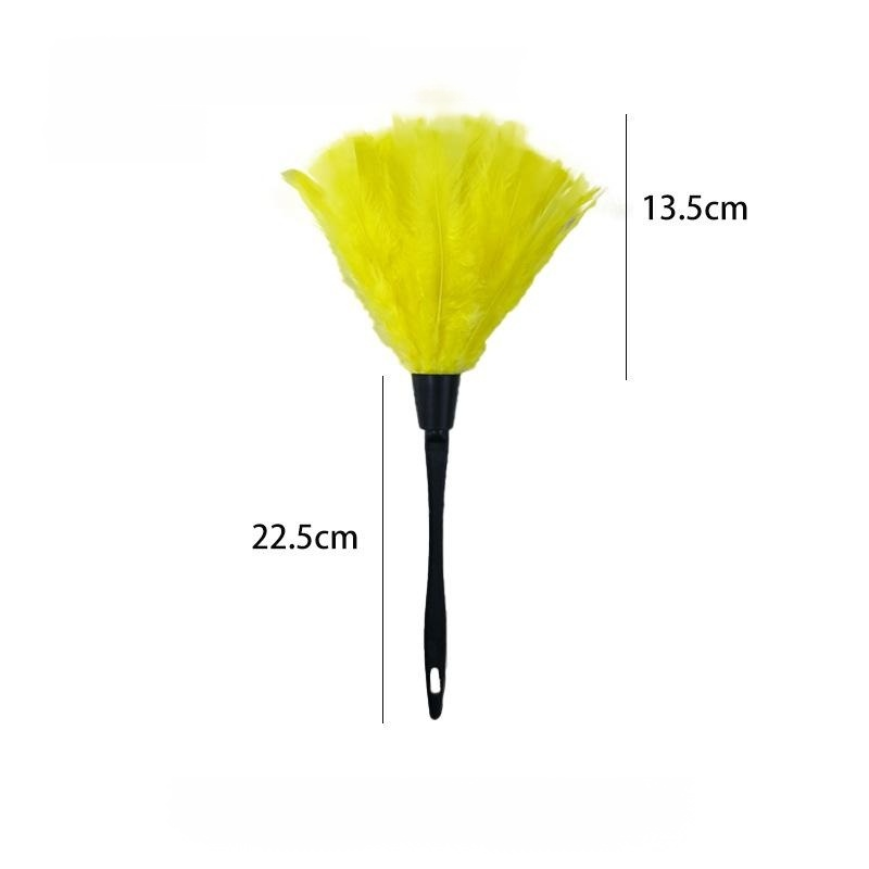 Staubwedel aus Straußenfedern