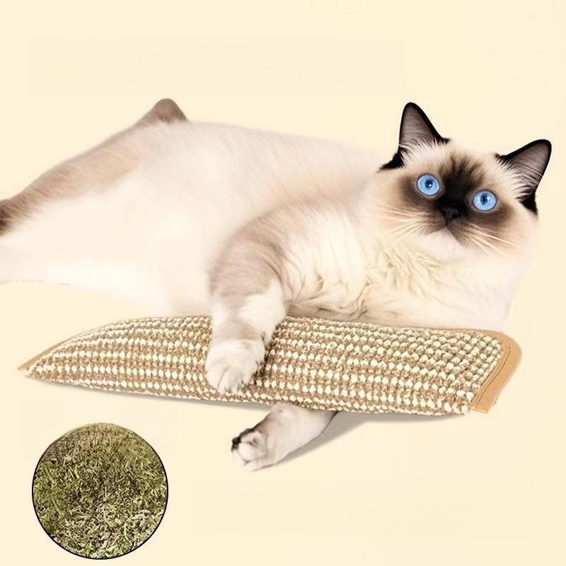 Katzenminze-Kuschelkissen für Katzen