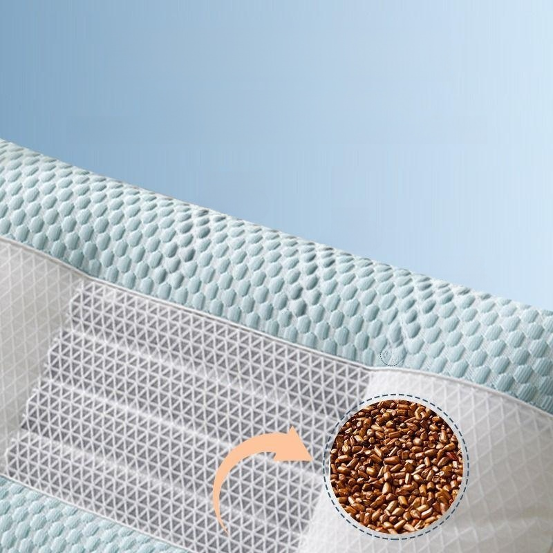 Cassia Health Pillow Core