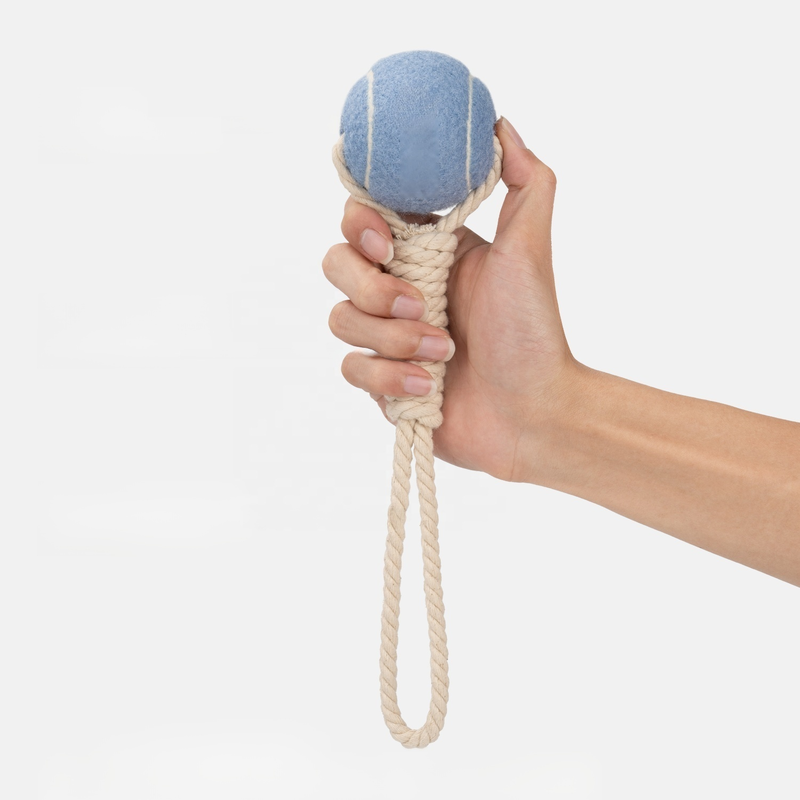 반려동물 치아 청소 인터랙티브 테니스