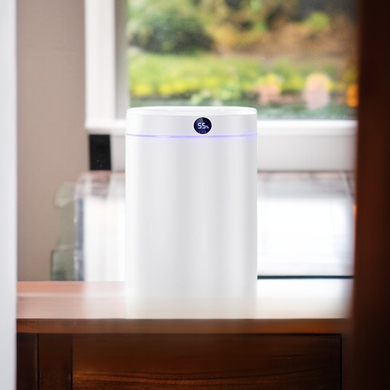 Humidificador para el hogar con doble salida y pantalla digital