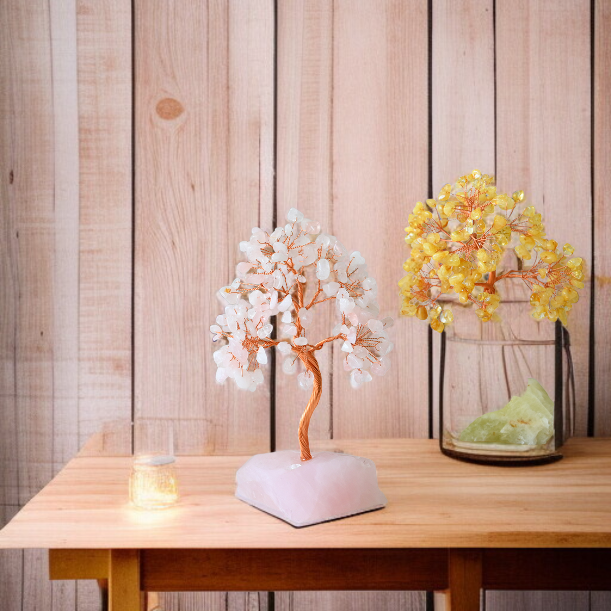 풍수 효과를 높여주는 부자 나무