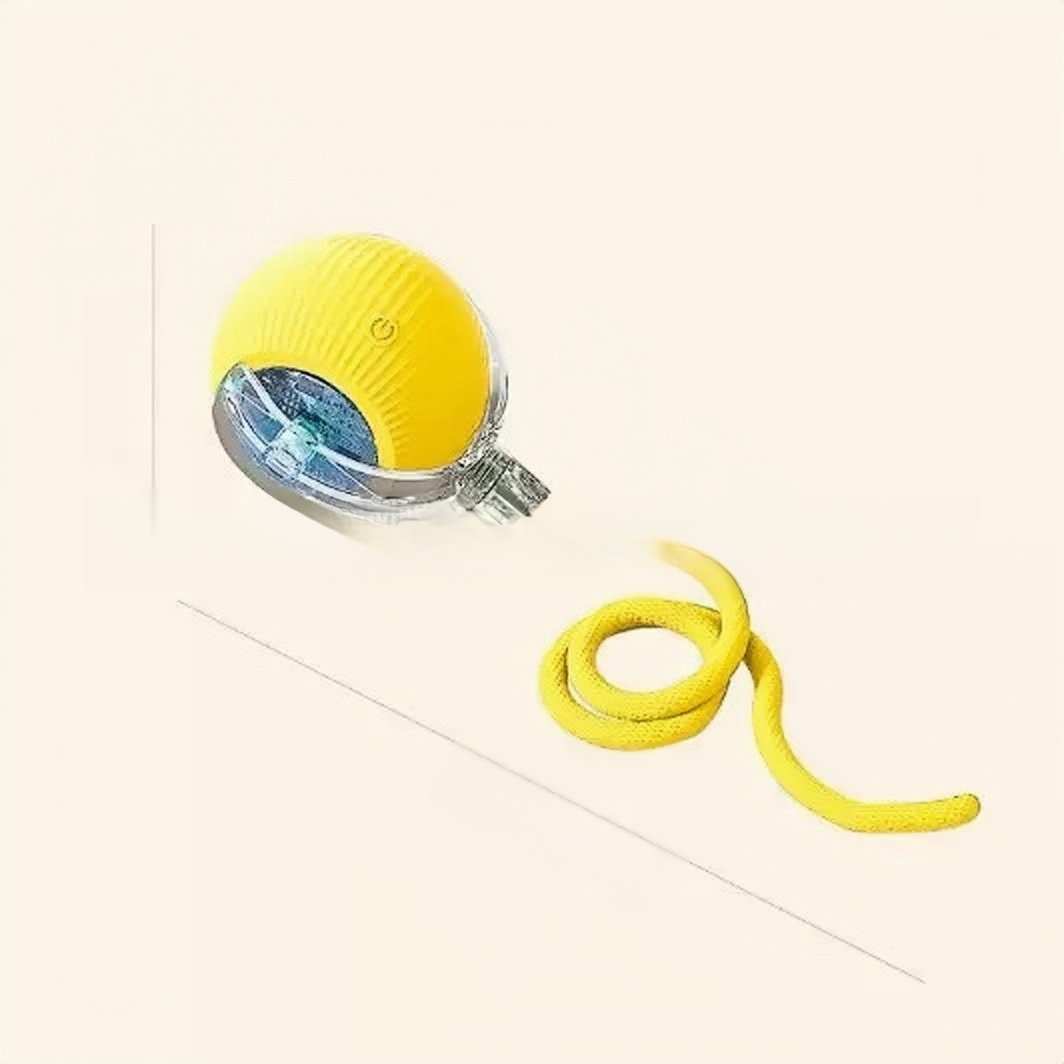 ลูกบอลของเล่นสำหรับแมวและสุนัข