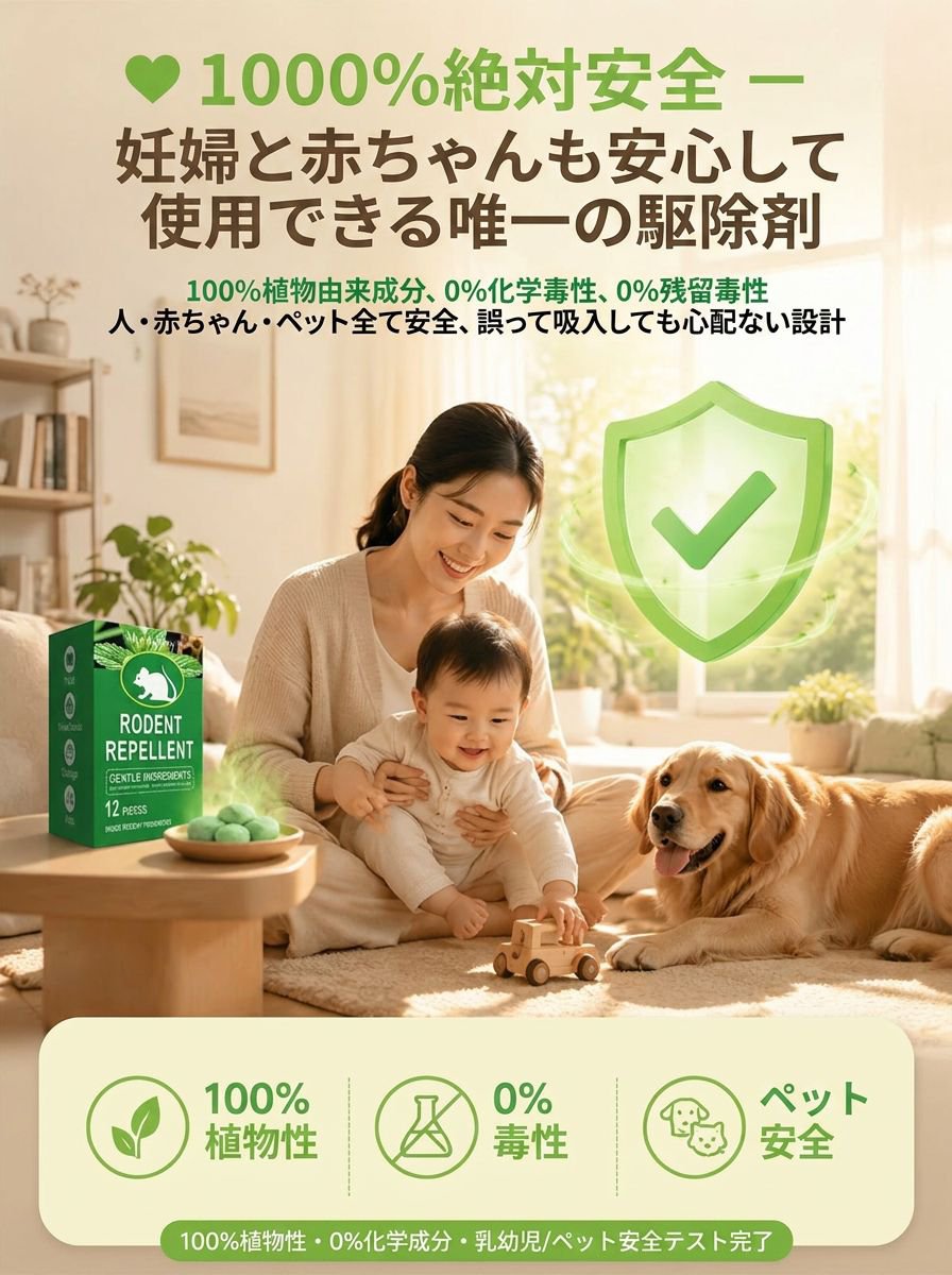 安全認証.jpg