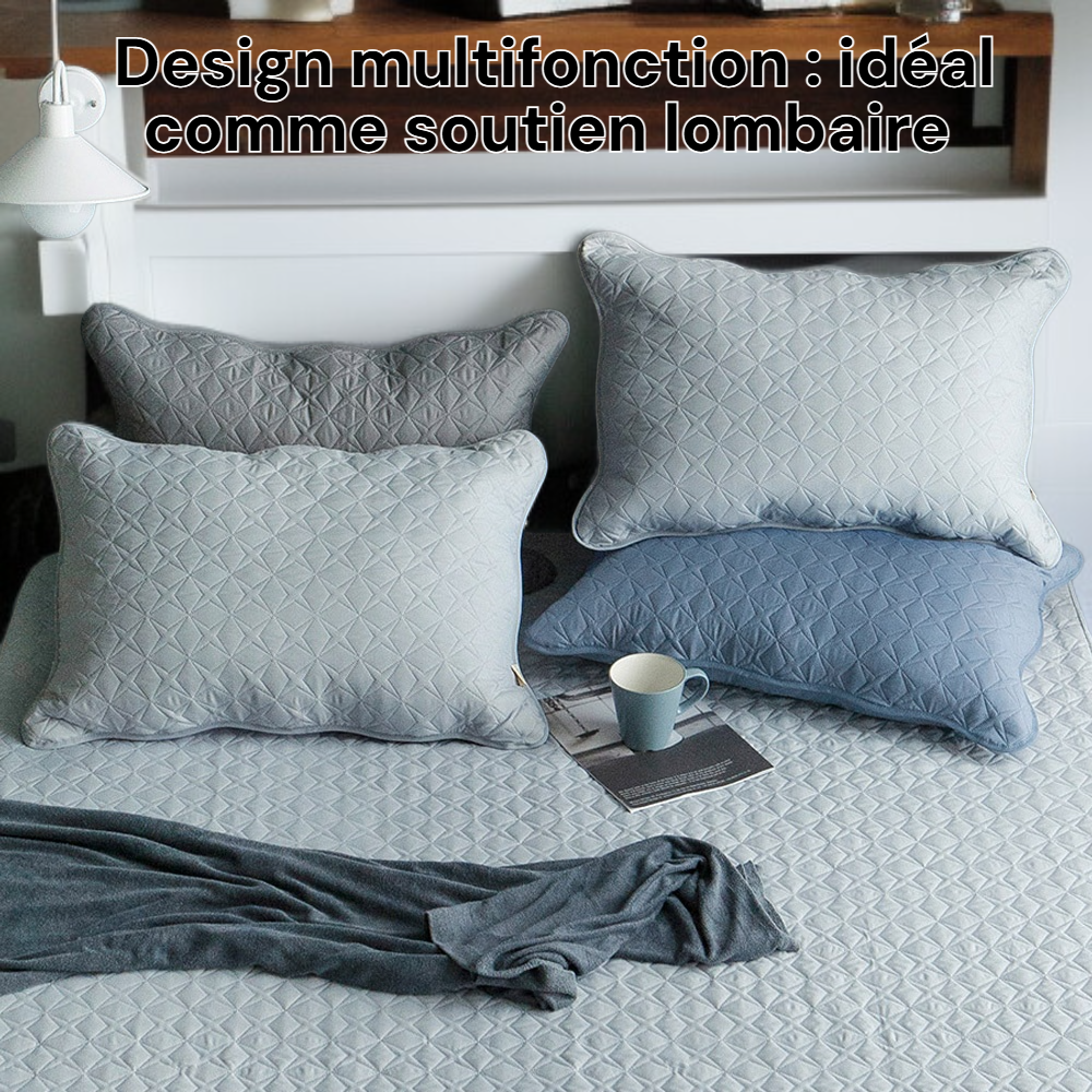 Coussin de canapé multifonction en velours