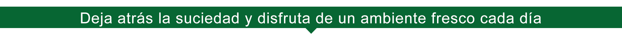 Compra productos esenciales para el hogar al mejor precio en línea,Accesorios de limpieza eficientes para mantener tu casa impecable,Herramientas de jardinería prácticas para cuidar tu jardín
