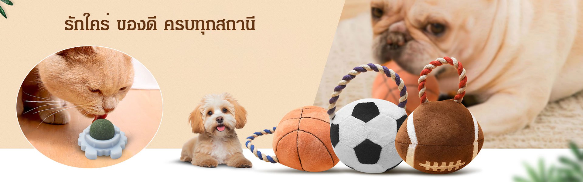 ศูนย์การค้าออนไลน์