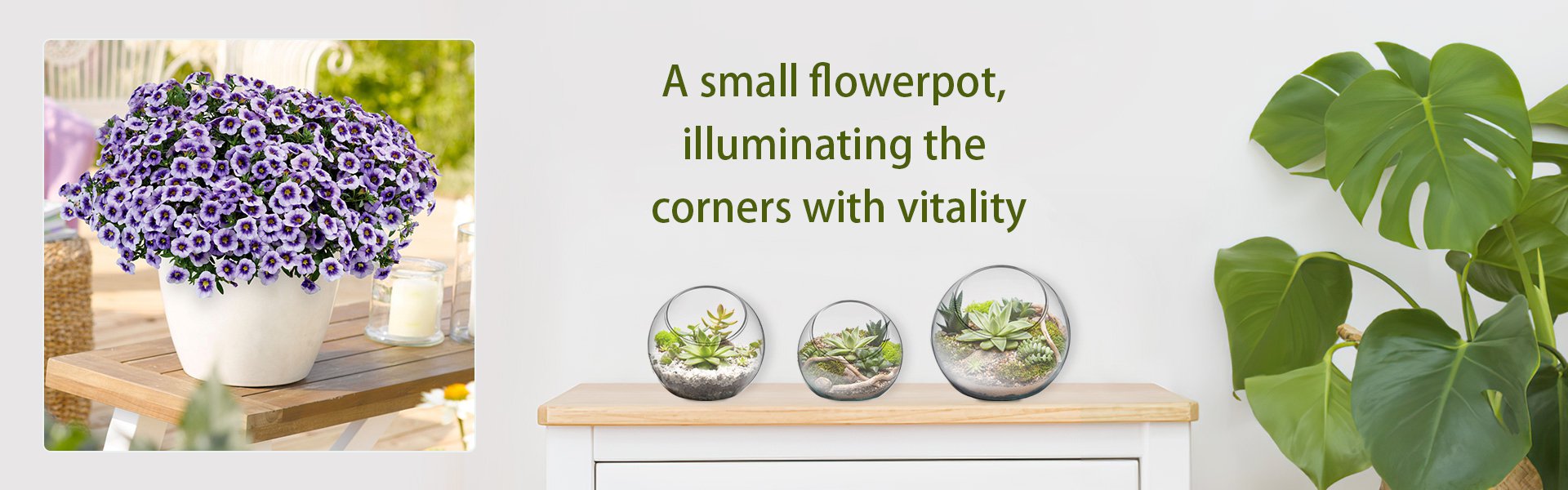 Online shopping MALL