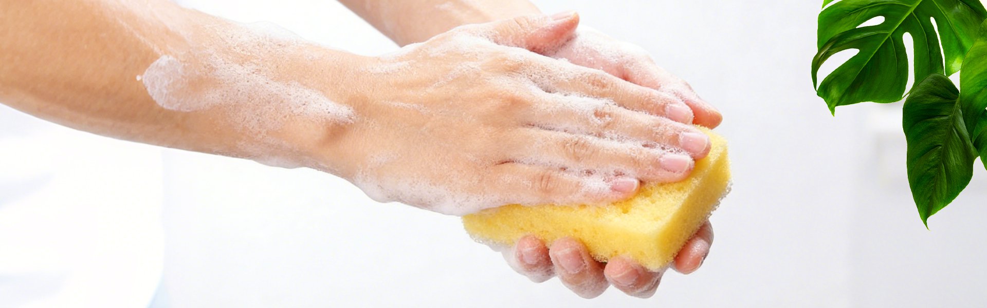 Online-Einkaufszentrum