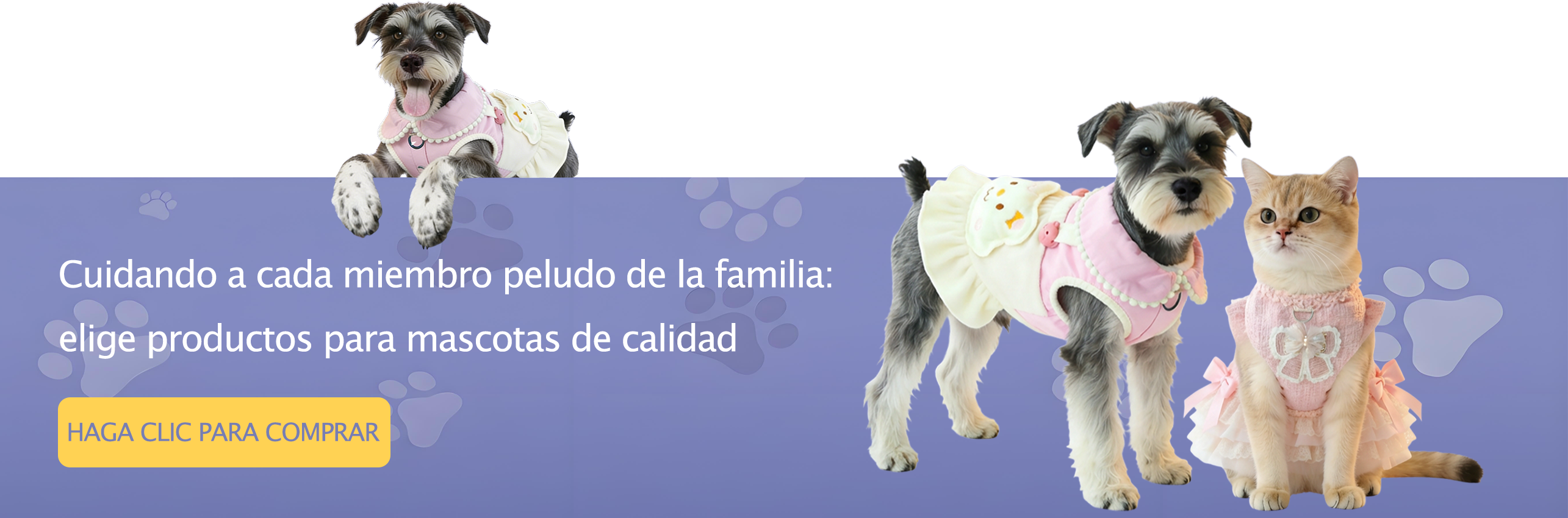 Compra lo Mejor para tu Mascota en Línea | Envío Rápido a Todo México,Herramientas de Jardín de Calidad | Haz tu Jardinería Más Fácil,Accesorios para Autos al Mejor Precio | Compra Fácil en Línea