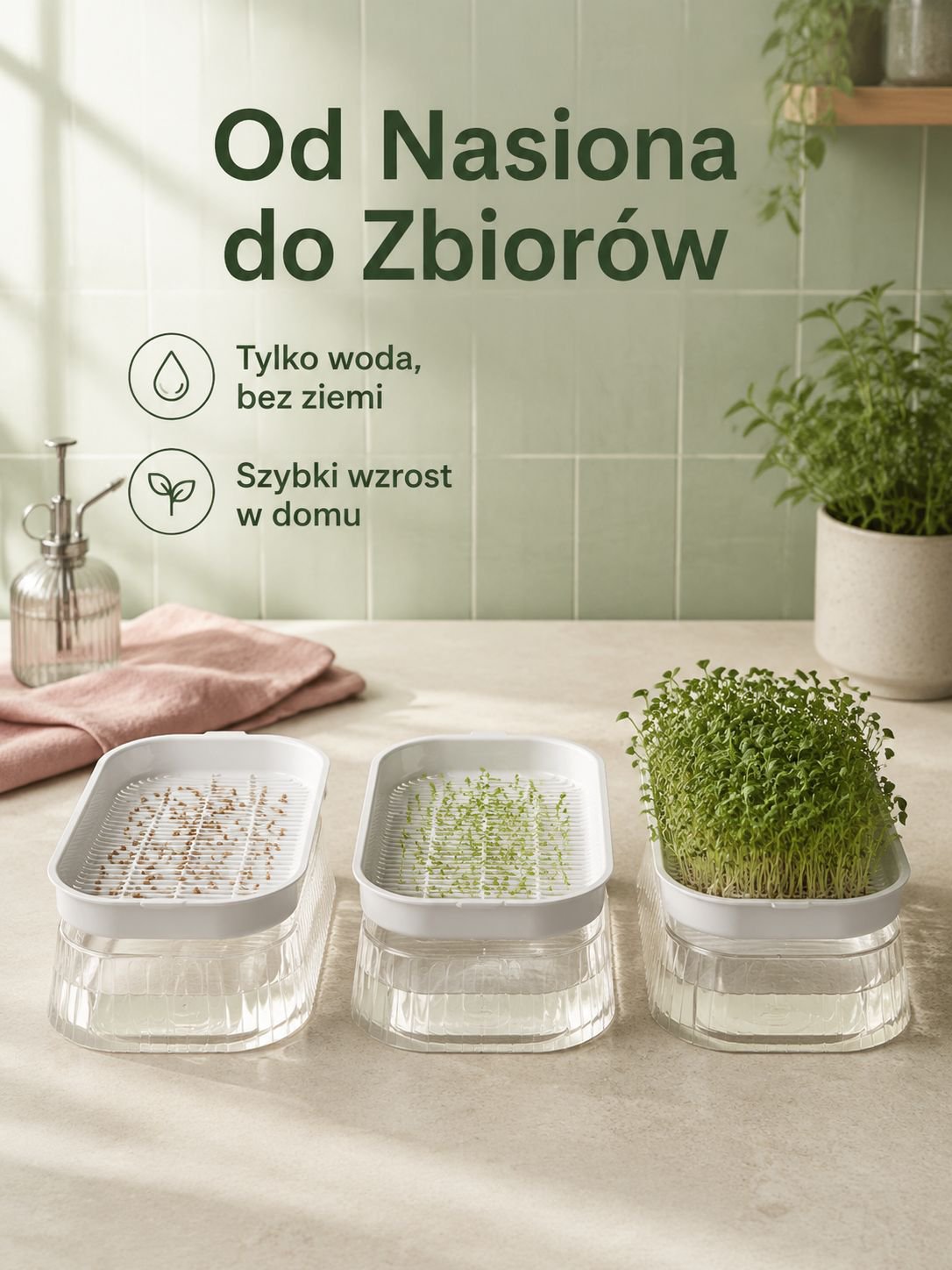 Zestaw do hodowli kiełków wodnych w domu