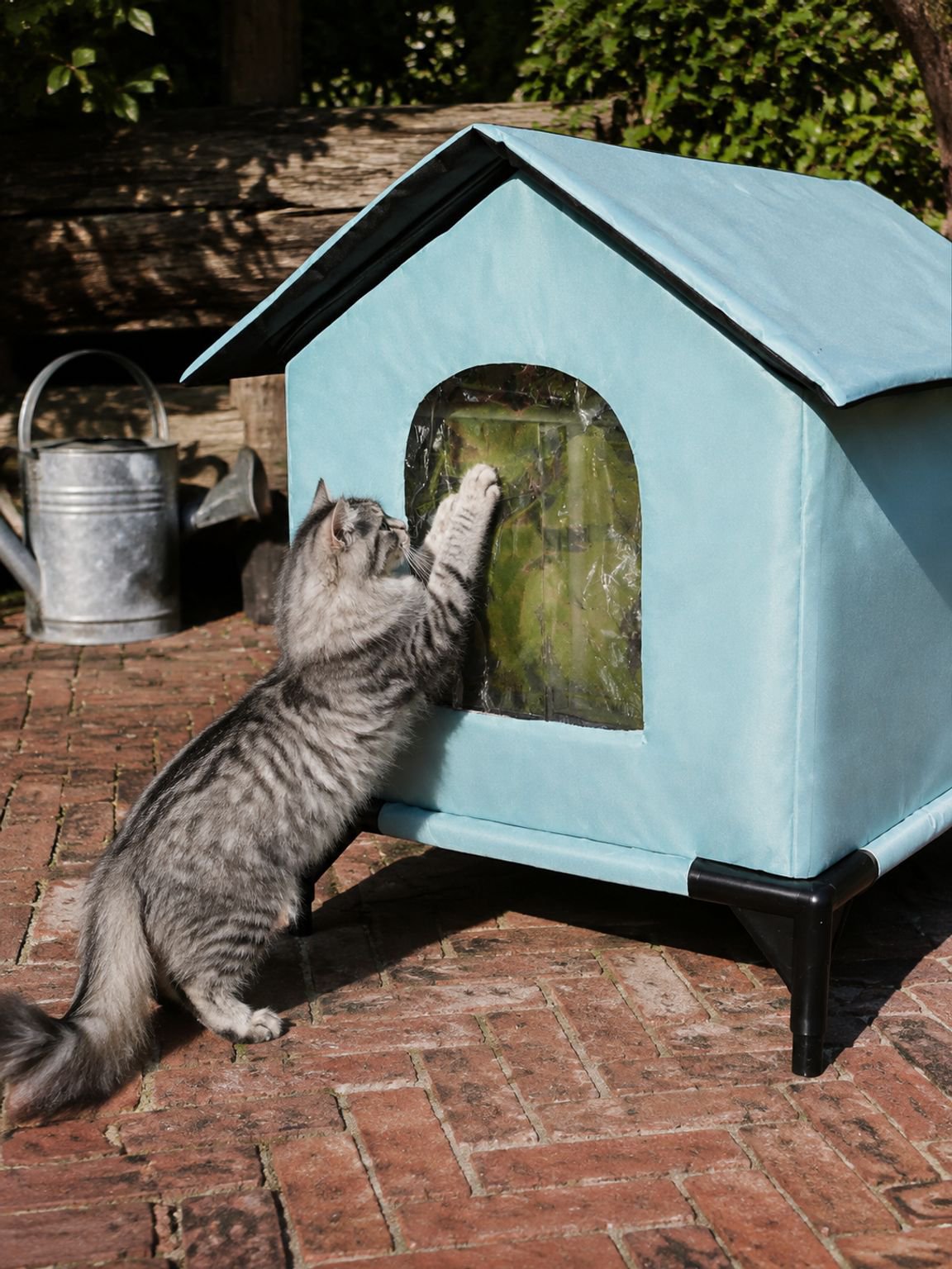Praktisch buitenhok voor katten met bescherming tegen weersinvloeden