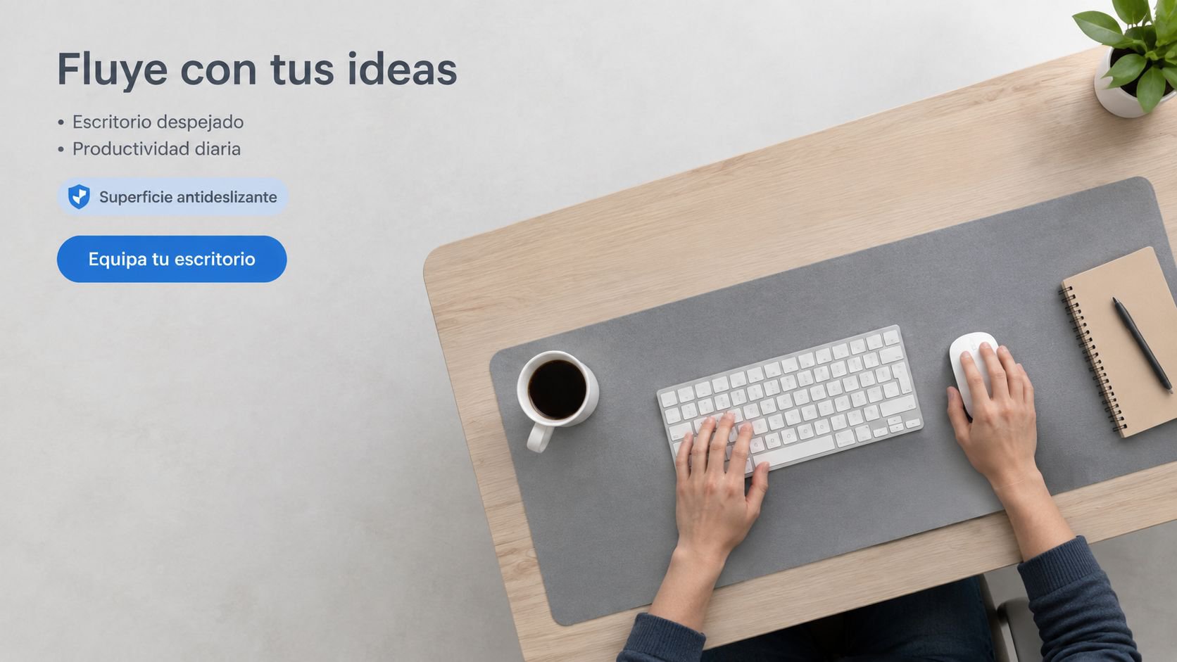 zelorixa.com