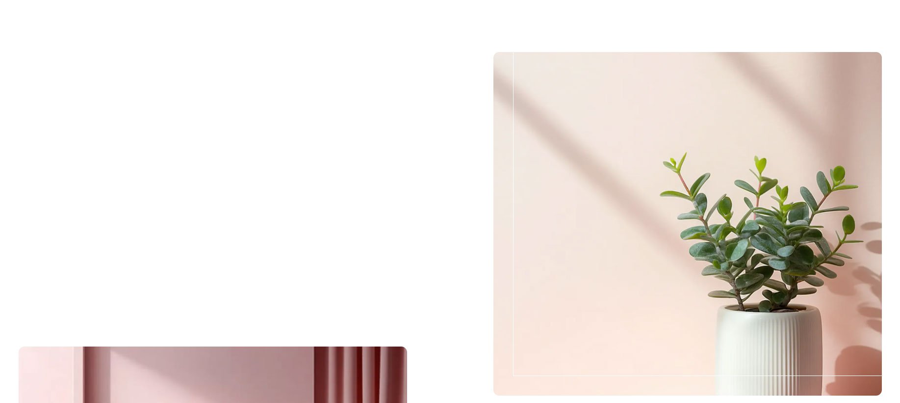 Online shopping MALL