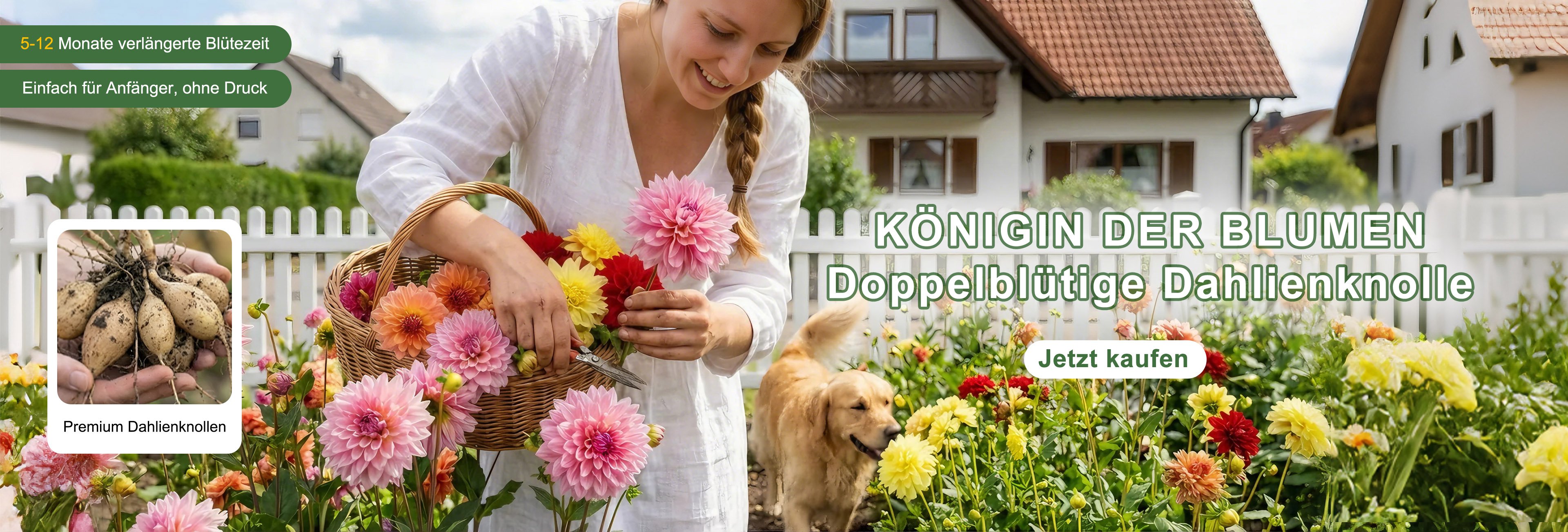 Hochwertige Pflanzgefäße für Ihr Zuhause – Große Auswahl online,Effiziente Gartenwerkzeuge für Hobbygärtner – Praktisch & robust,Vielfältige Blumensamen für farbenfrohe Gärten – Jetzt entdecken
