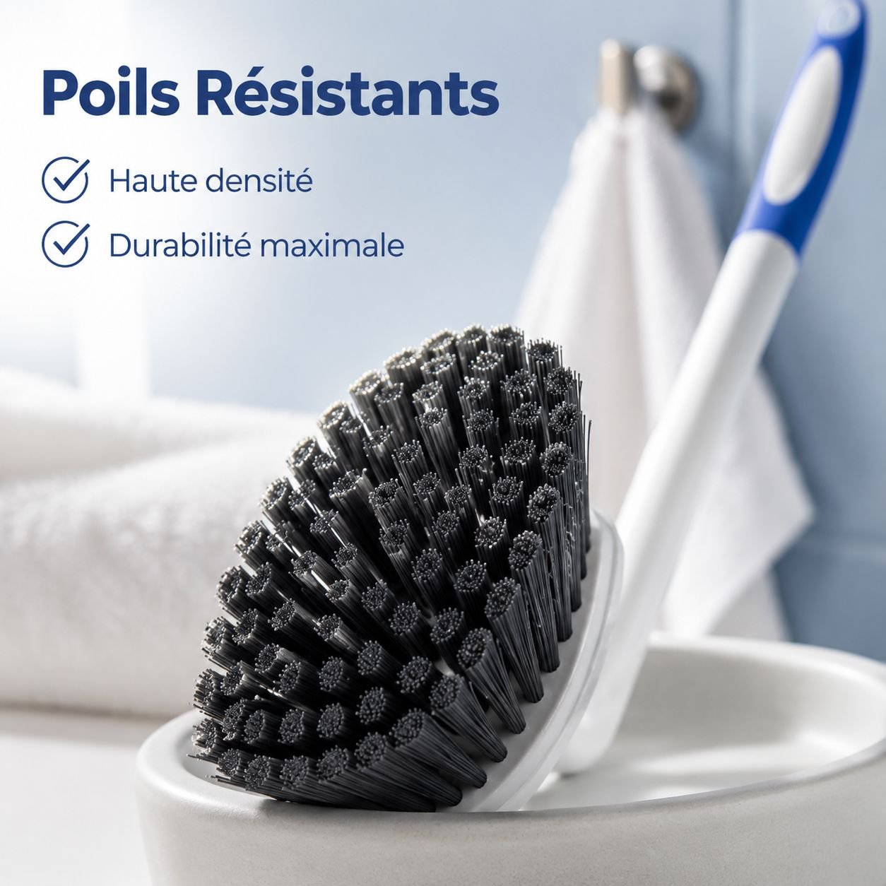 Brosse de toilette à long manche