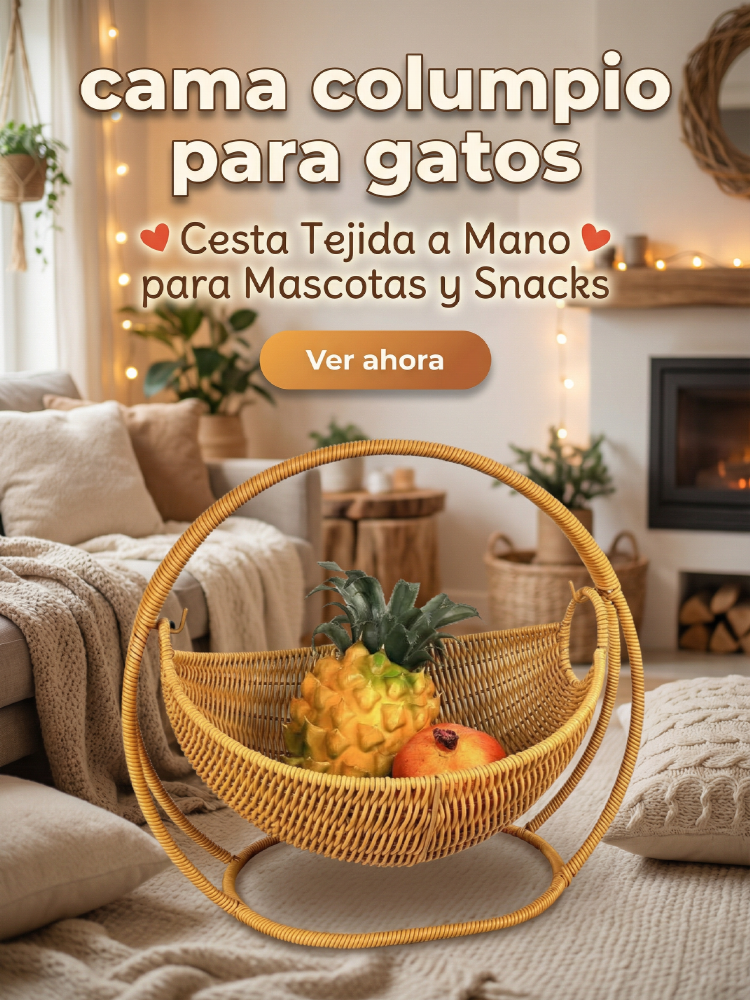 best Tienda online