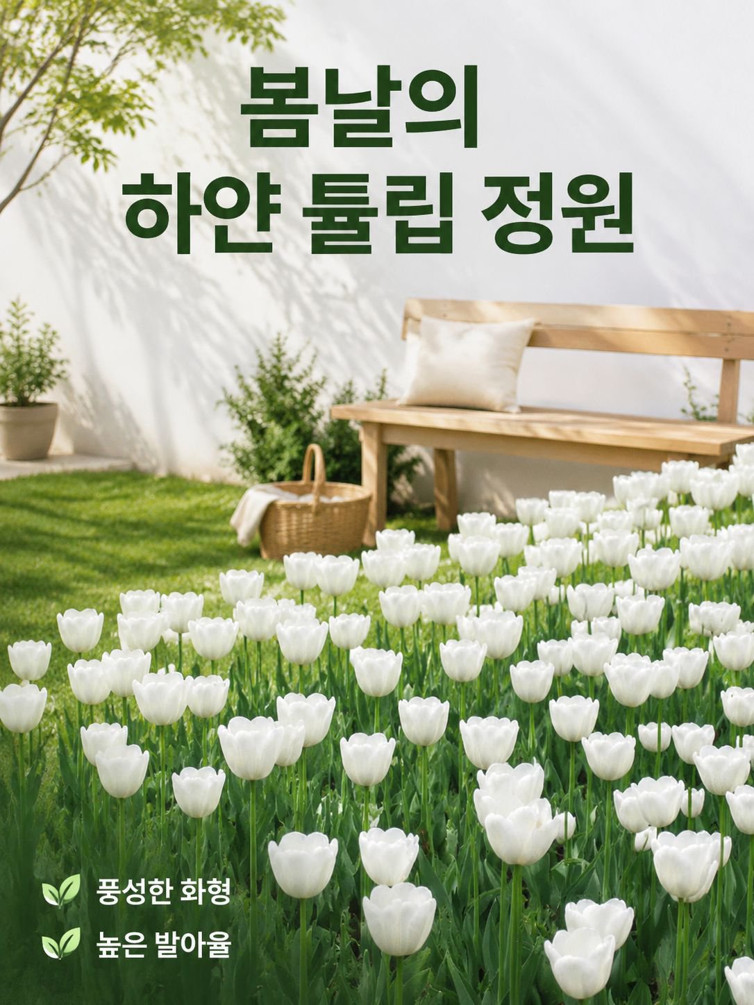 튤립 구근 꽃
