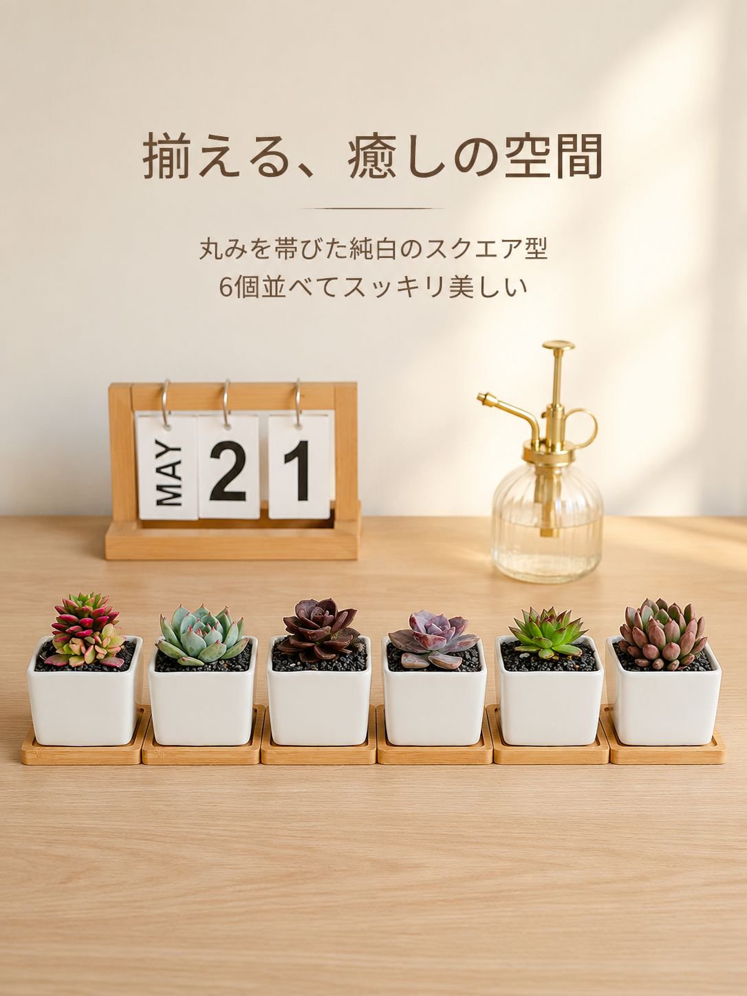 グレーズセラミック多肉植物鉢