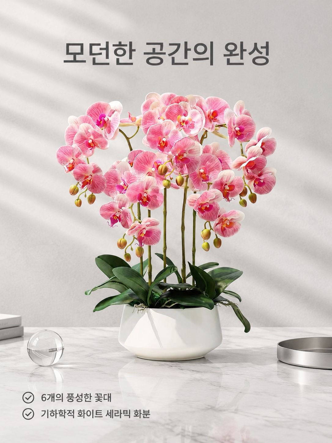 팔레노프시스 난초 실내 식물