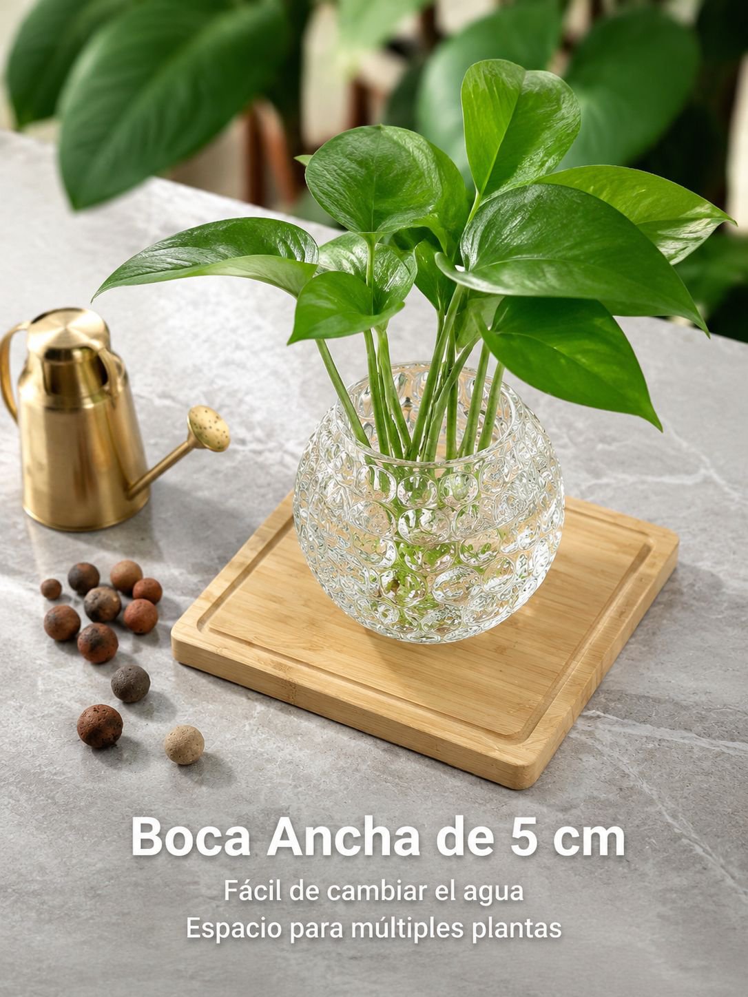 Regadera para plantas de interior