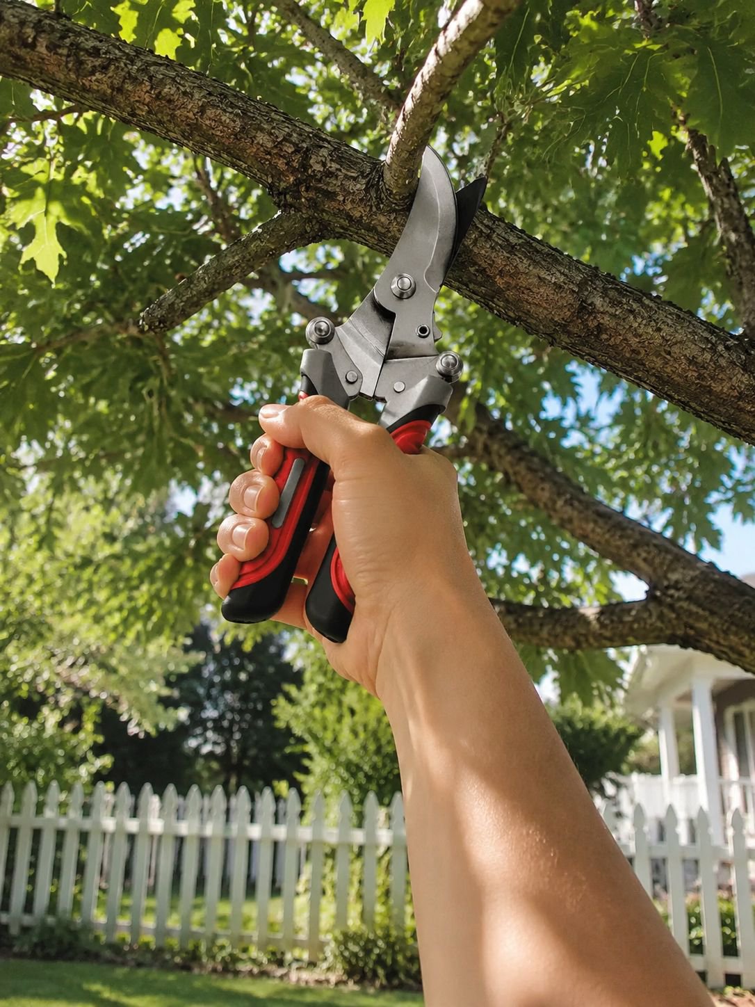 Accesorios de poda ideales para huertos y jardines