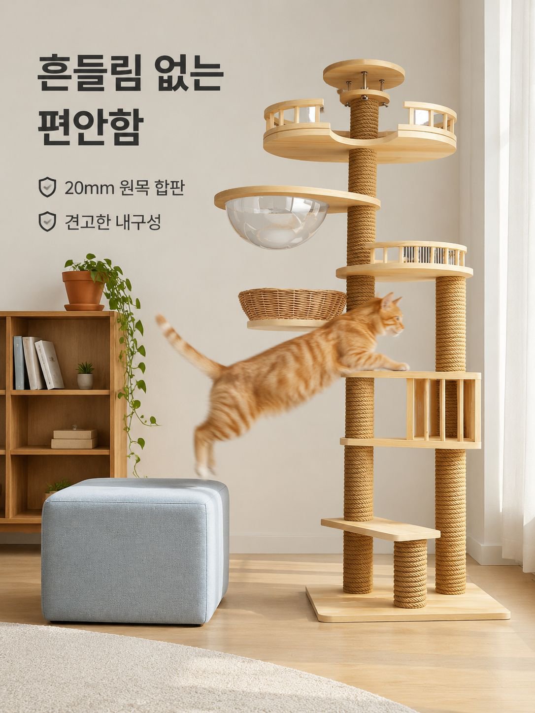 고양이가 나무를 기어오르다.
