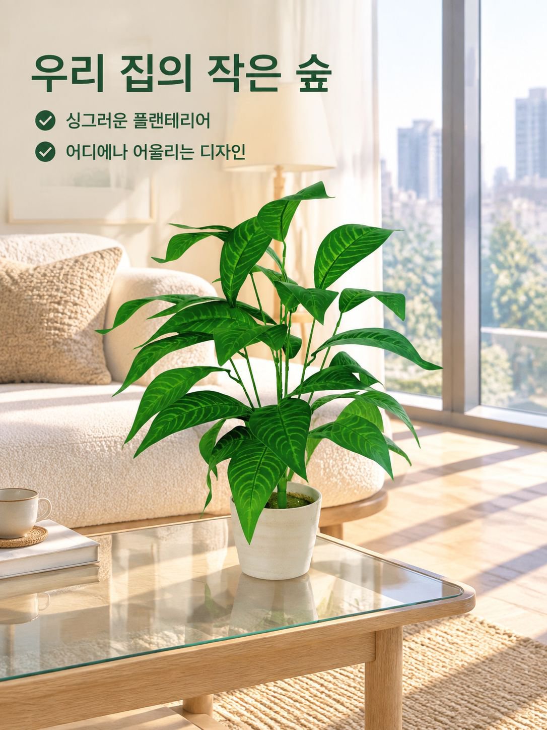 몬스테라 델리시오사 분재