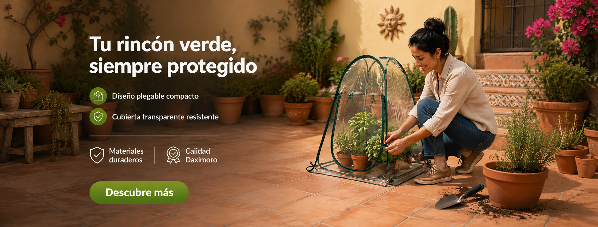 daximoro.com
