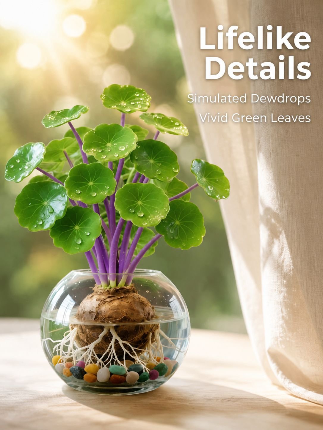 Hydroponic Green Plant