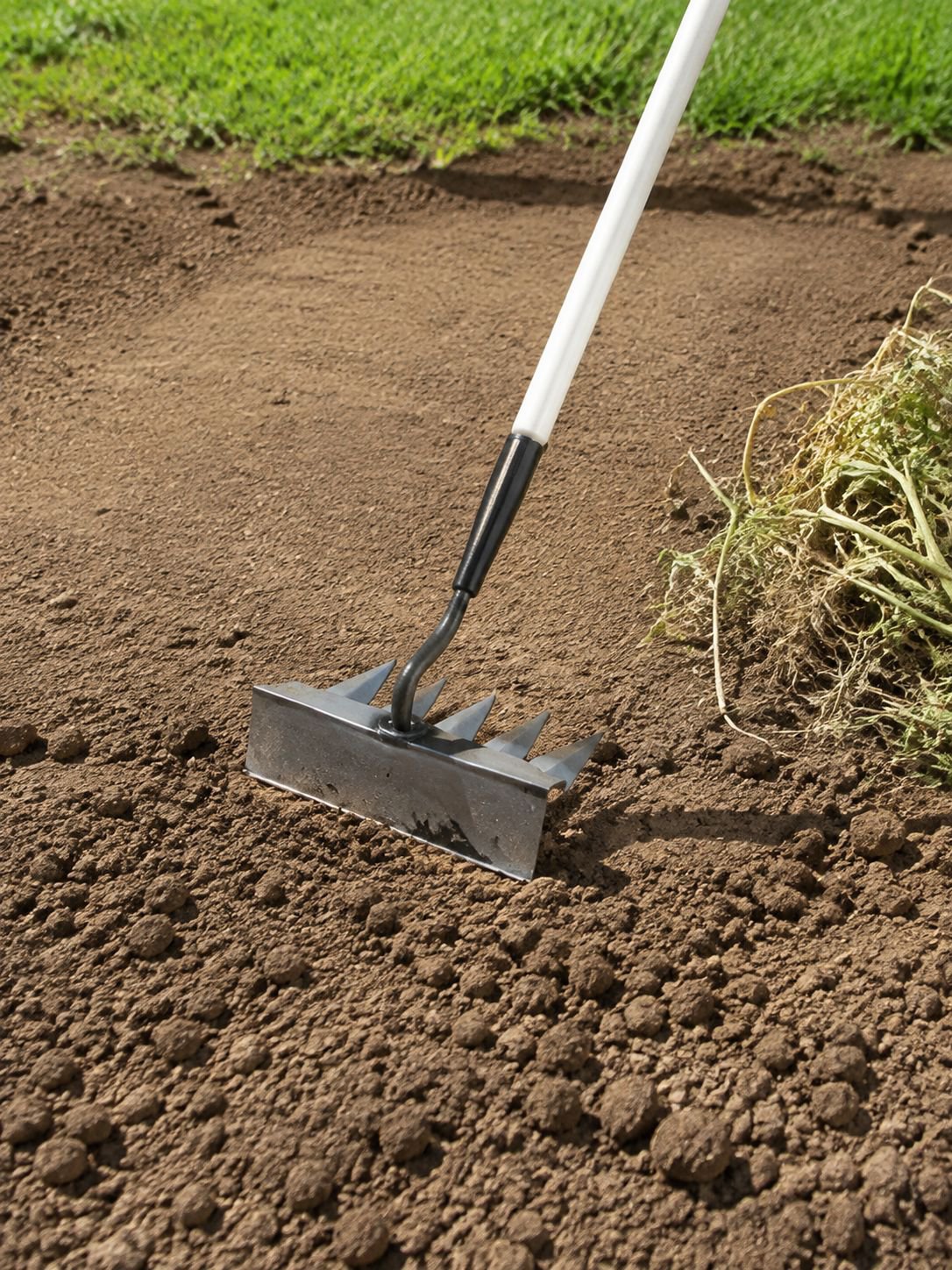 JL herramienta manual eliminando malas hierbas en el cultivo