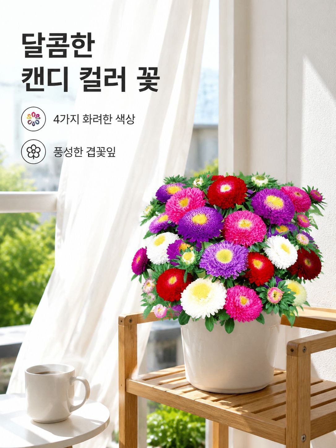 다채로운 캔디 화분 꽃