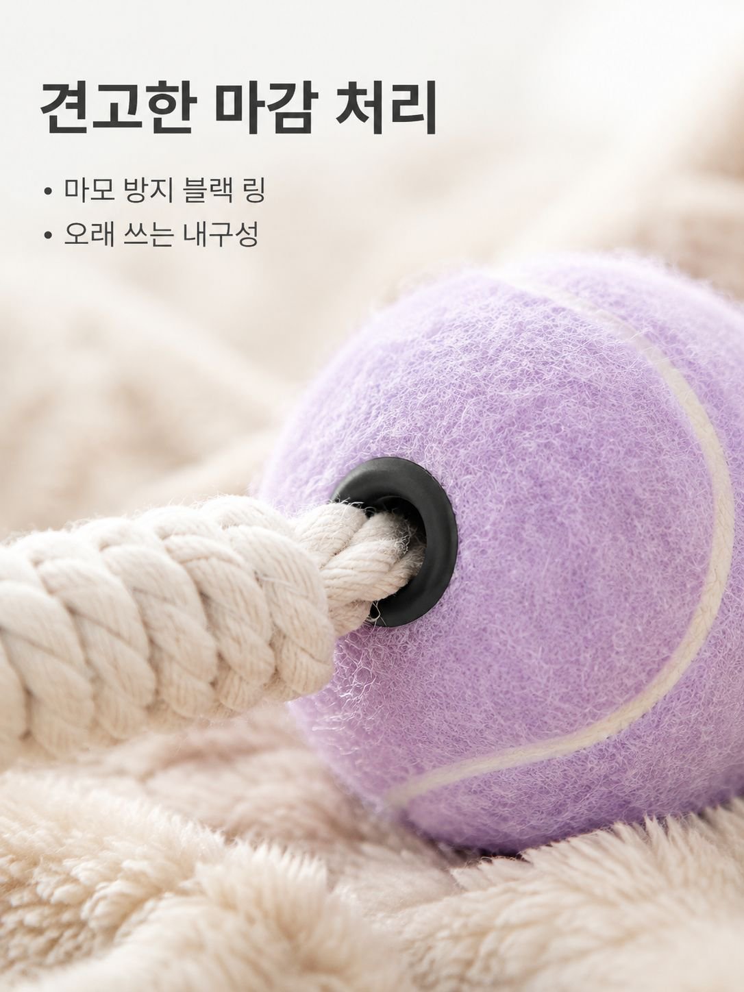반려동물 치아 청소 인터랙티브 테니스