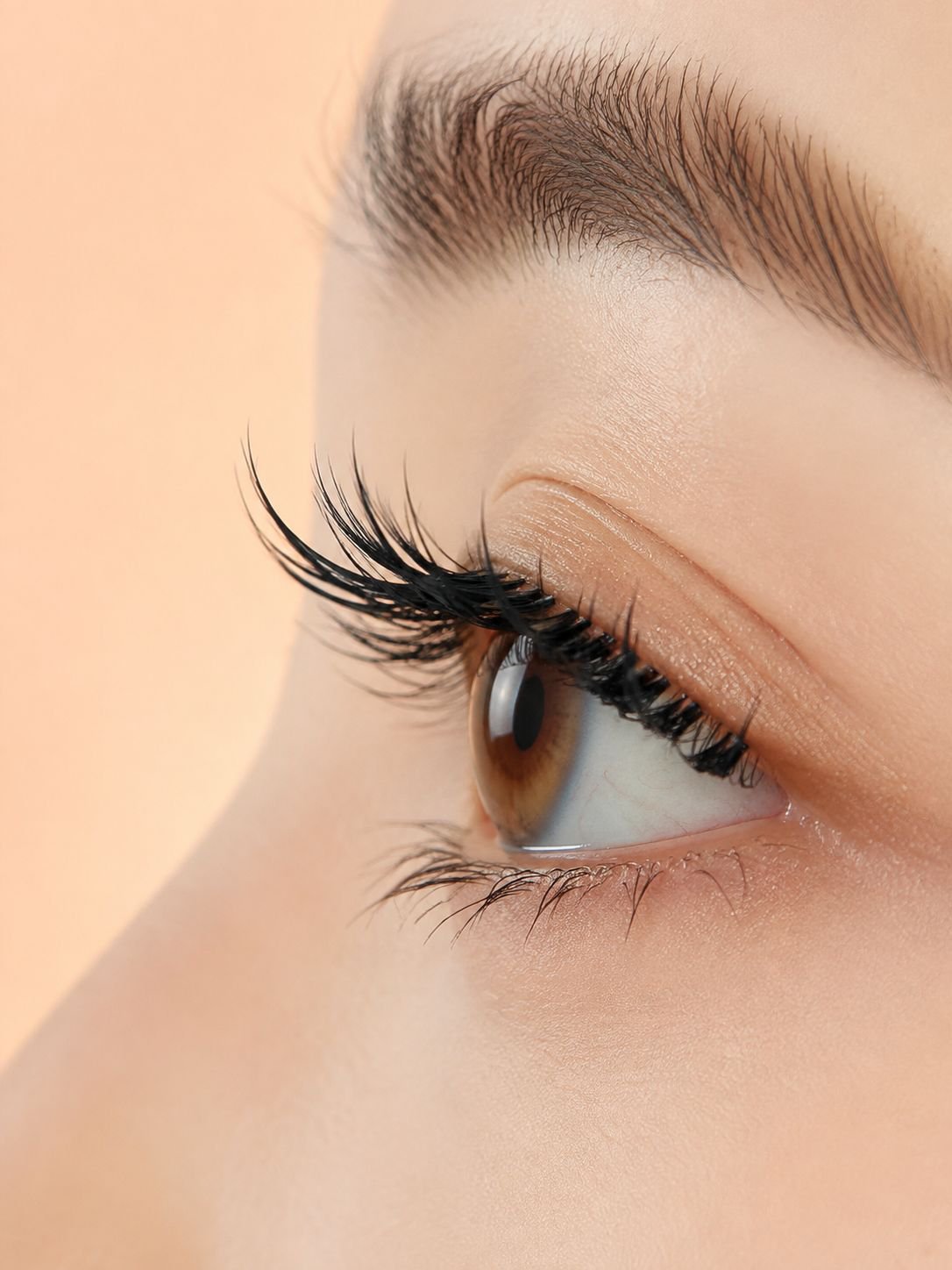 Long-lasting false eyelashes for everyday wear