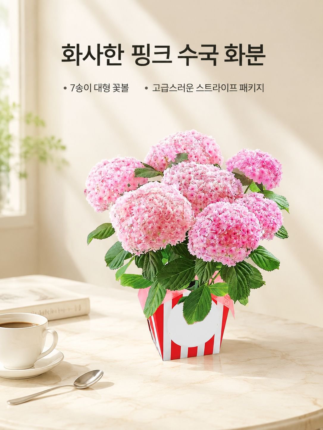 화분에 심은 수국
