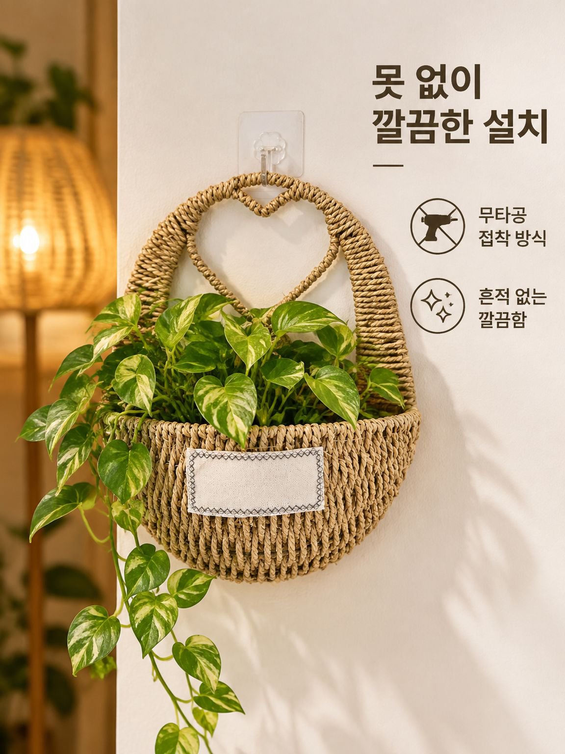 포토스 및 관엽식물용 벽걸이형 화분