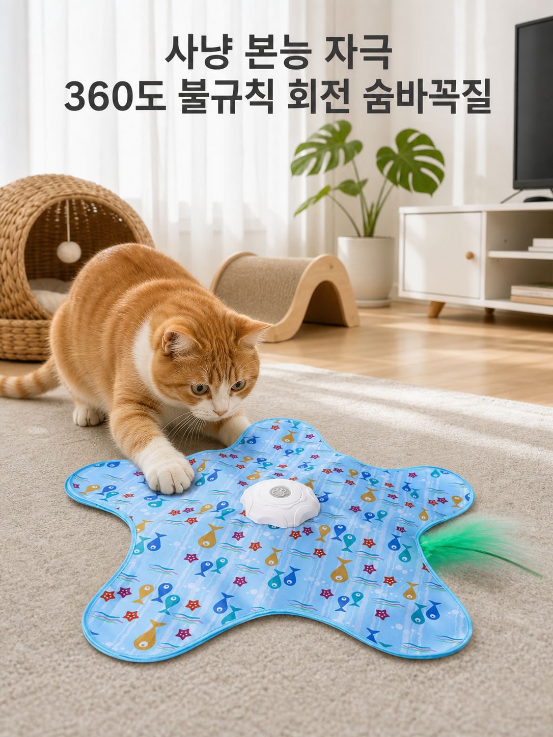 자동 고양이 장난감 및 플레이 디스크