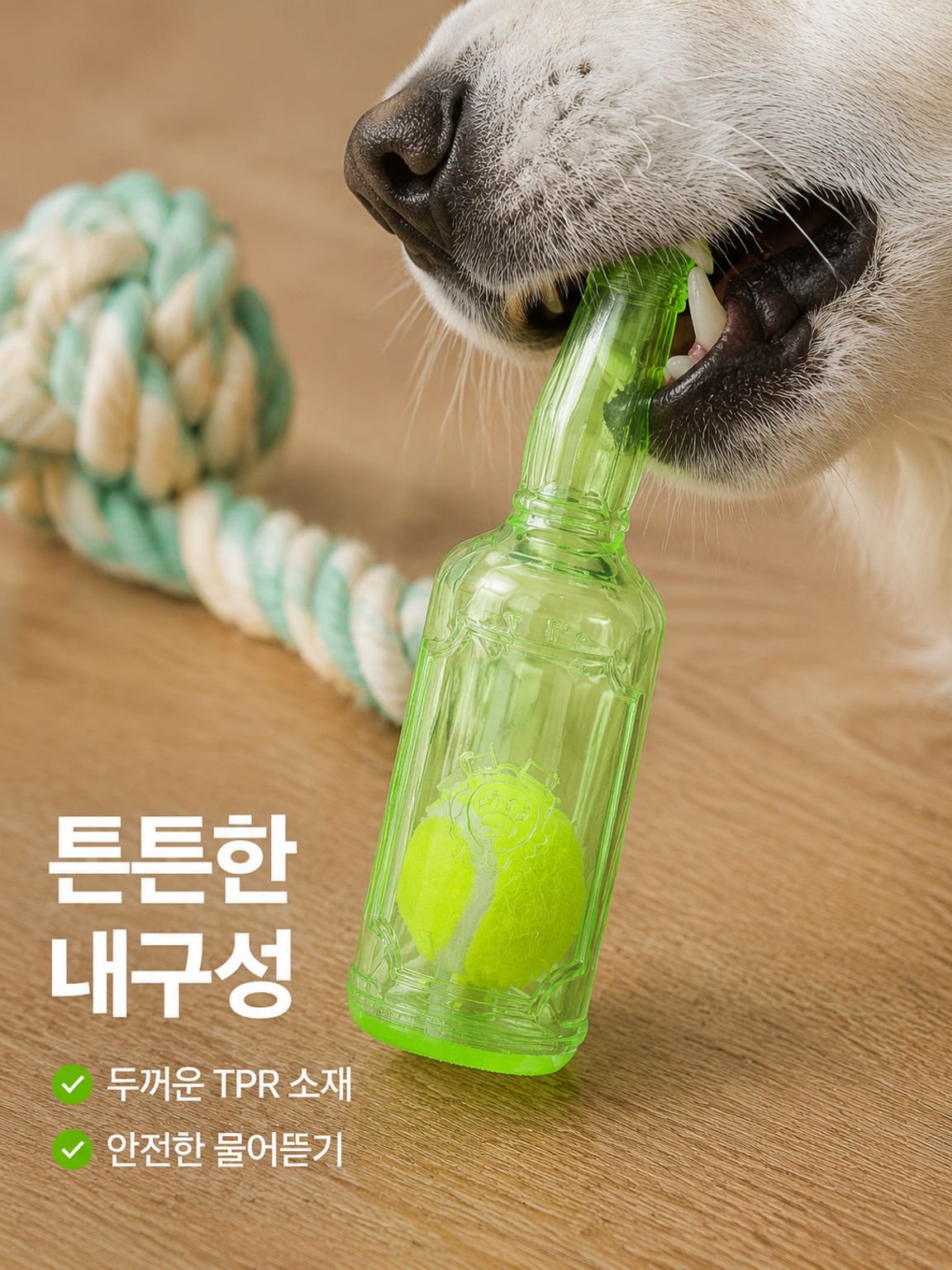 반려동물과 함께 사용할 수 있는 말하는 테니스 물병