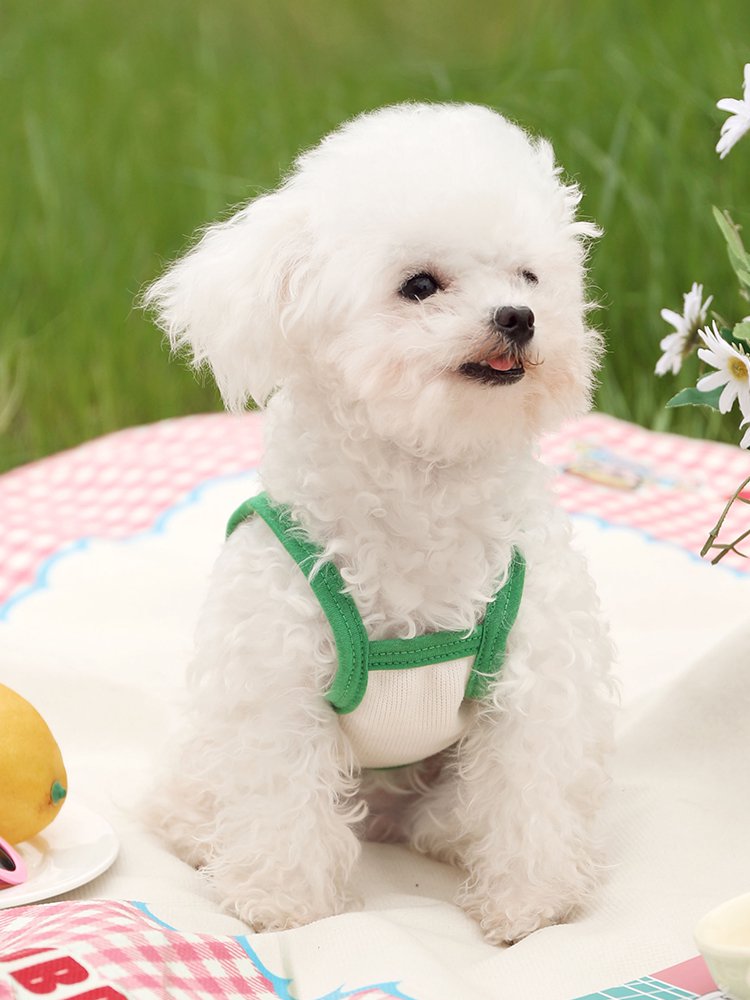 온라인 쇼핑몰