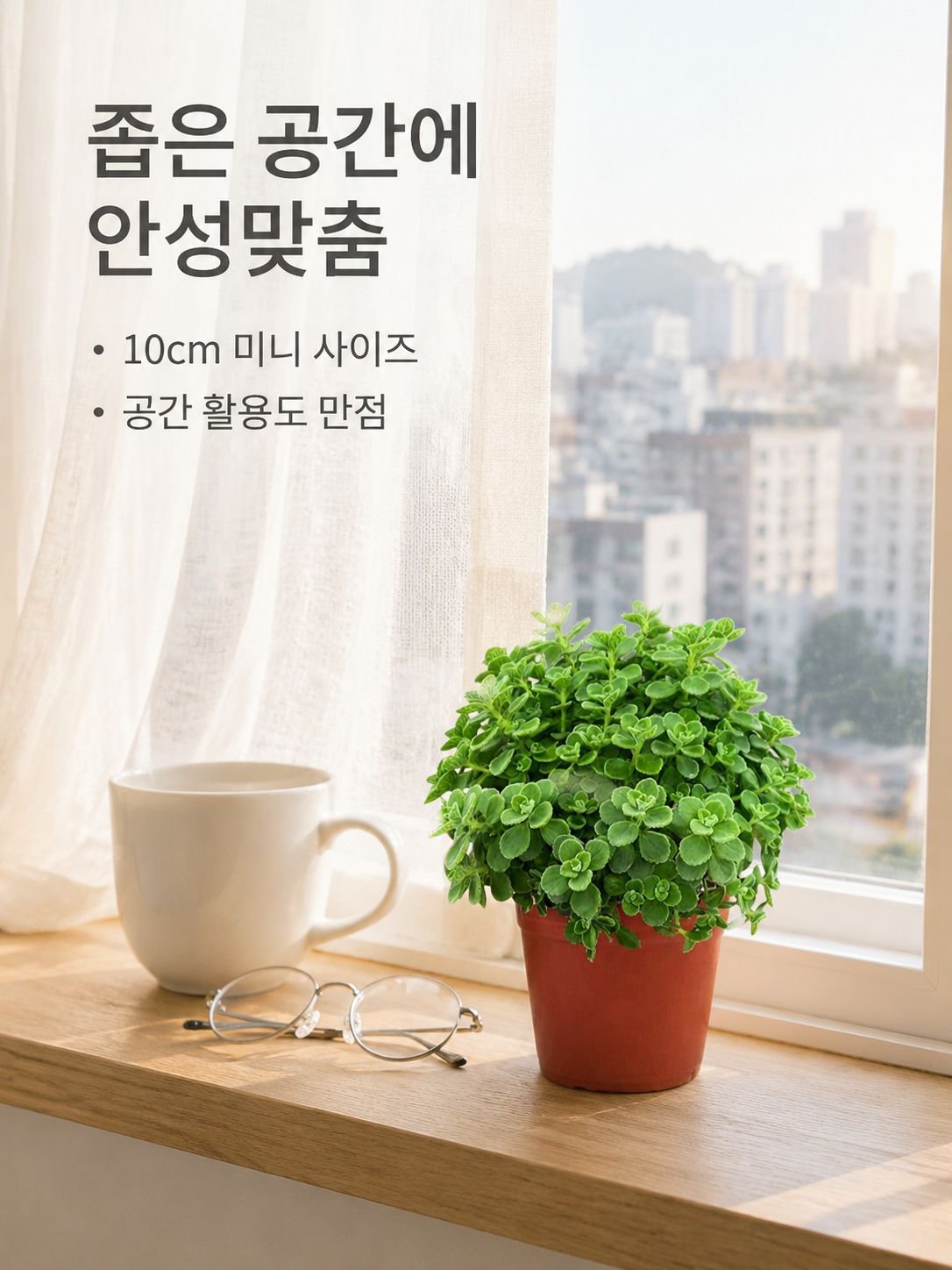 로즈마리 녹색 식물