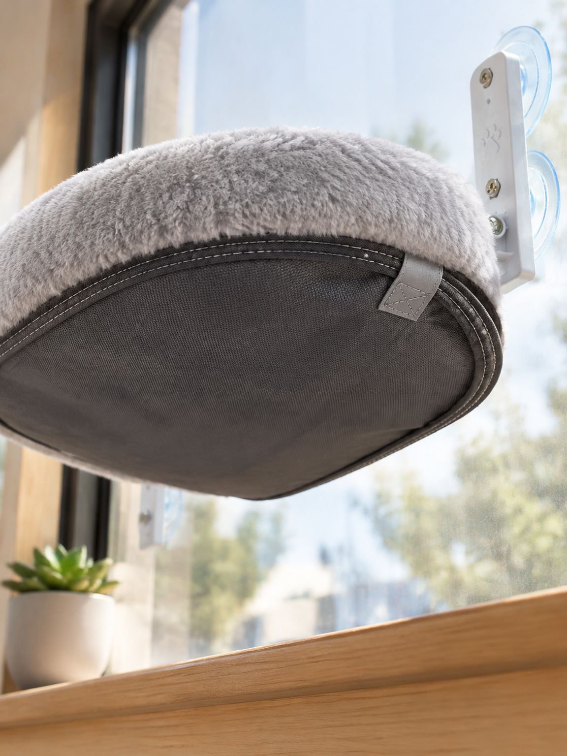 Ventouses puissantes pour fixer un hamac pour chat