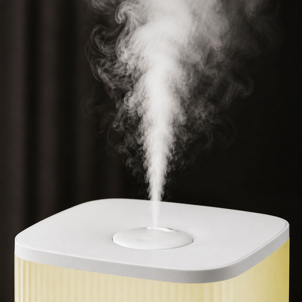 Large water tank humidifier for long-lasting moisture