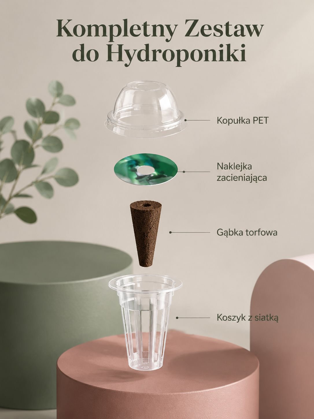 Koszyk do uprawy hydroponicznej z roślinami