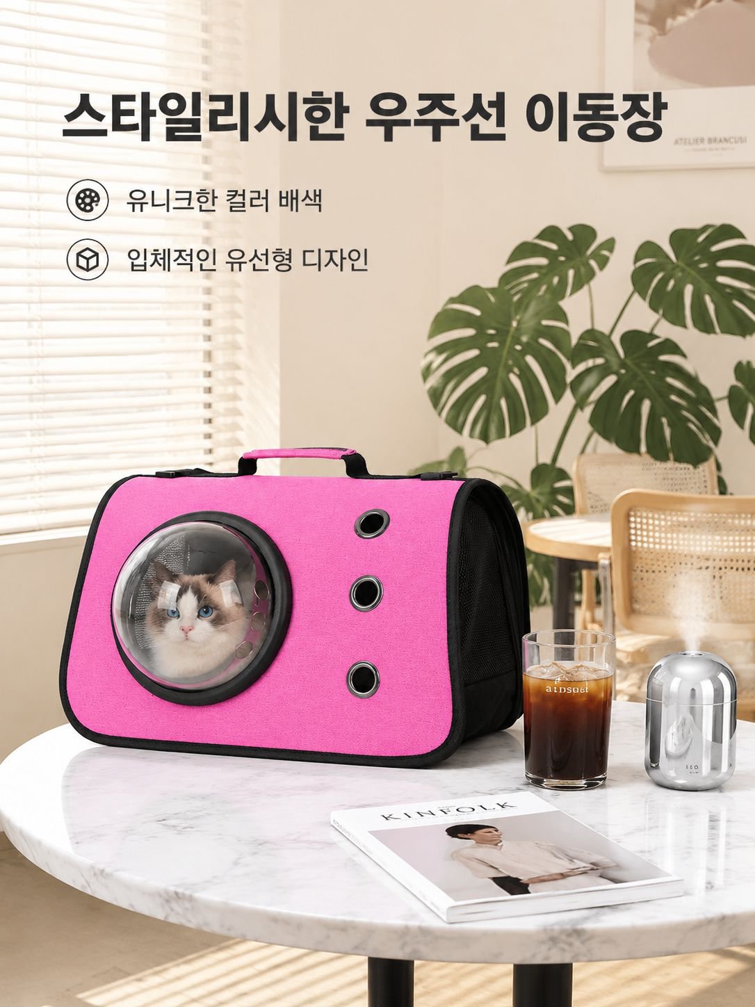 휴대용 접이식 고양이 외출 가방